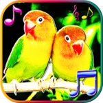 birds sounds ringtones and wallpapers android application logo